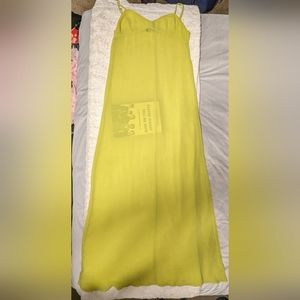 BCBG maxazria Deanne Maxi sheer slip dress